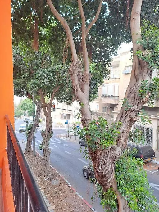 Fellini Fortunella Terrace ハイファ